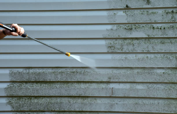 Best Residential Mold Removal  in Geneva, OH