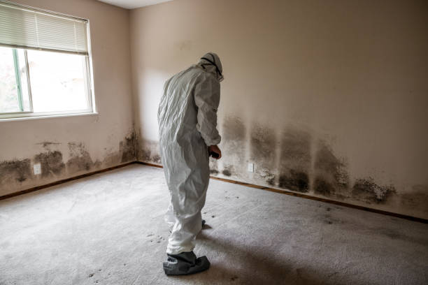 Best Mold Damage Repair  in Geneva, OH