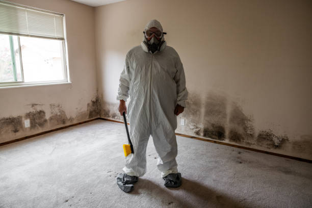 Certified Mold Removal in Geneva, OH